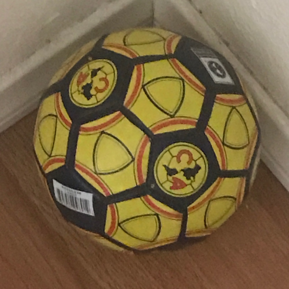 Meet your Posher, Lizz